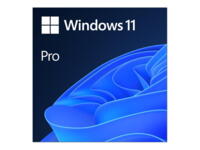 Microsoft Windows 11 PRO OEM ESD